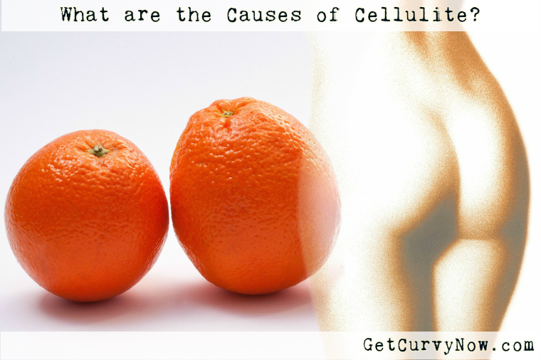 getcurvynow-com-cellulite-orange-peel-273151_1280